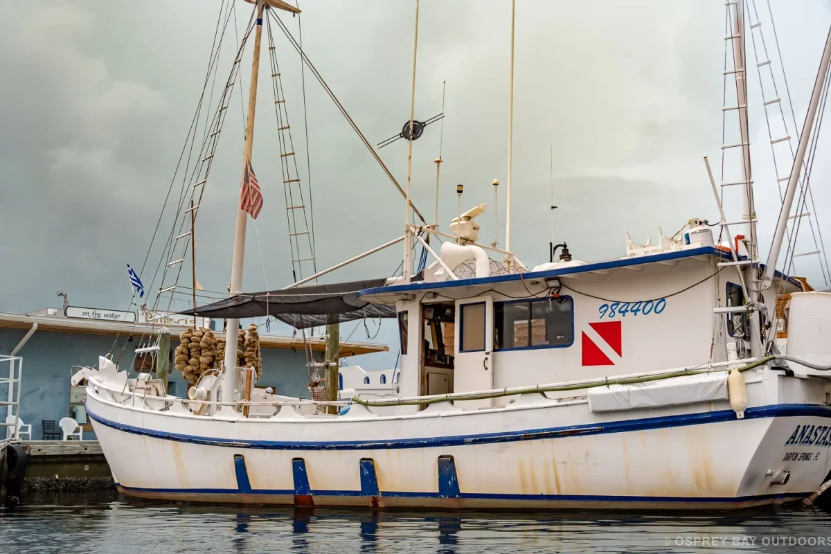 Tarpon Springs