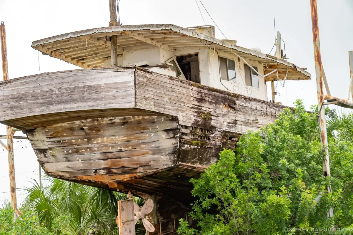 Tarpon Springs