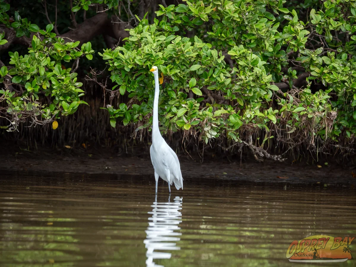 Photo from FT Desoto kayak trip, Oct 4, 2026