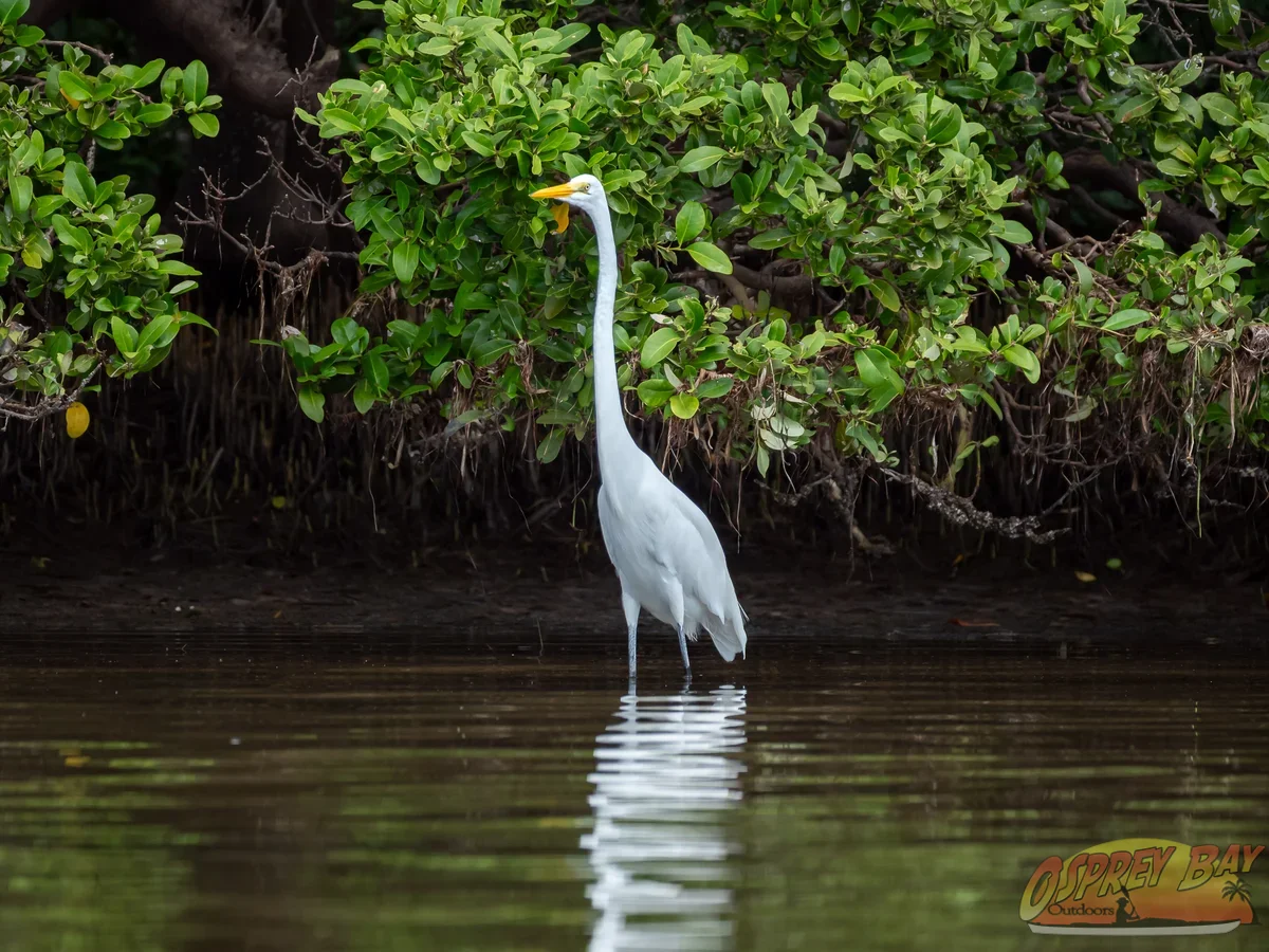 Photo from FT Desoto kayak trip, Oct 4, 2026
