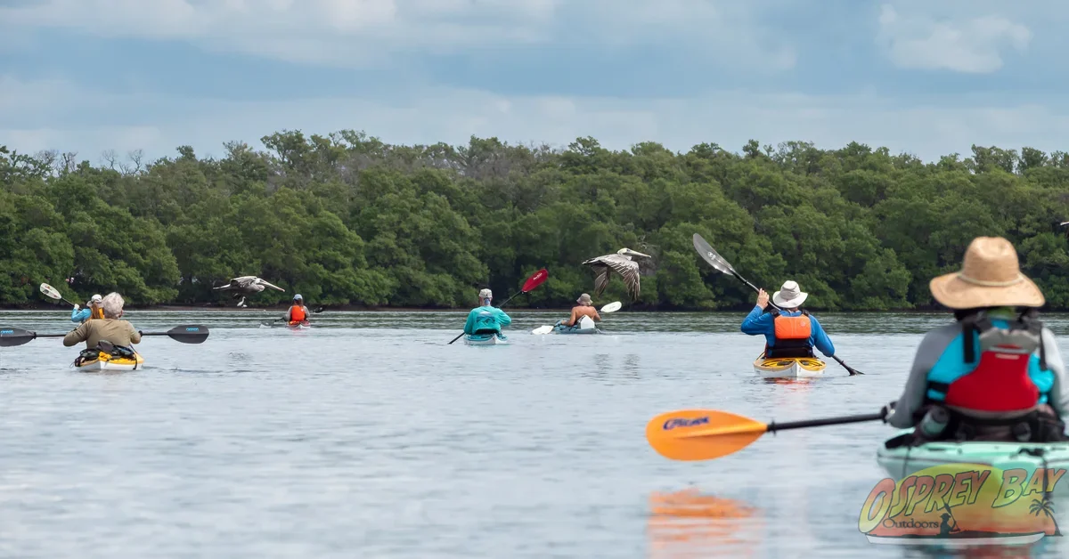Photo from FT Desoto kayak trip, Oct 4, 2026