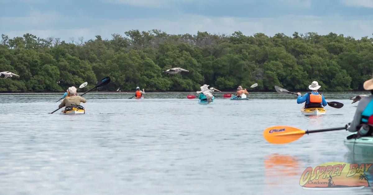 Photo from FT Desoto kayak trip, Oct 4, 2026