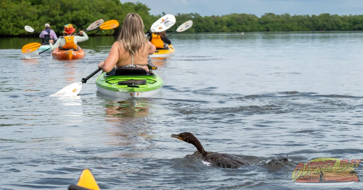 Photo from FT Desoto kayak trip, Oct 4, 2026