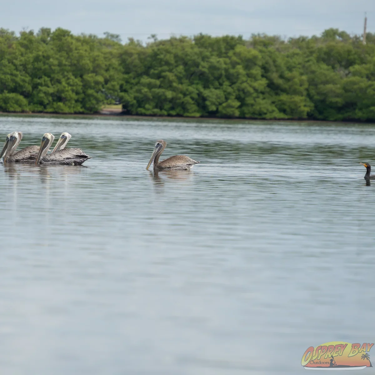 Photo from FT Desoto kayak trip, Oct 4, 2026