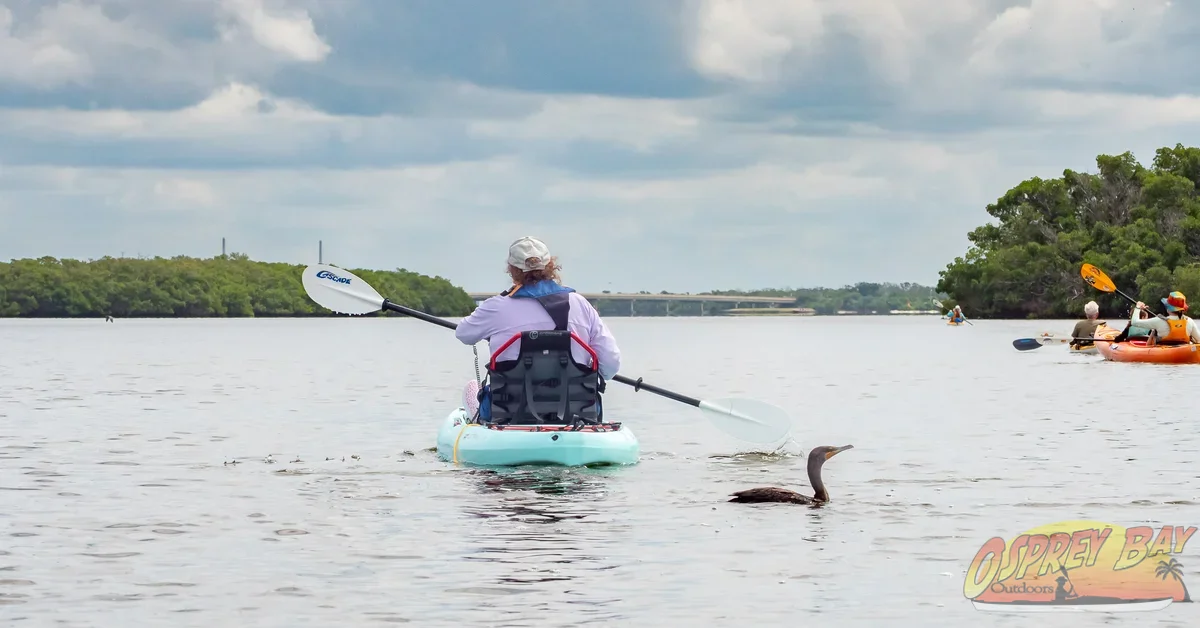 Photo from FT Desoto kayak trip, Oct 4, 2026