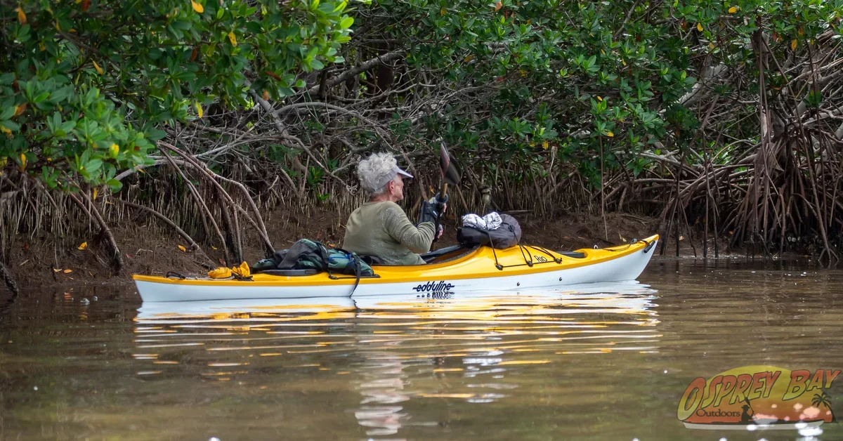 Photo from FT Desoto kayak trip, Oct 4, 2026
