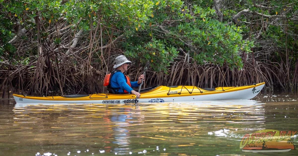 Photo from FT Desoto kayak trip, Oct 4, 2026