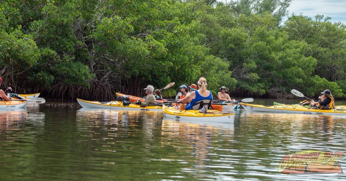 Photo from FT Desoto kayak trip, Oct 4, 2026