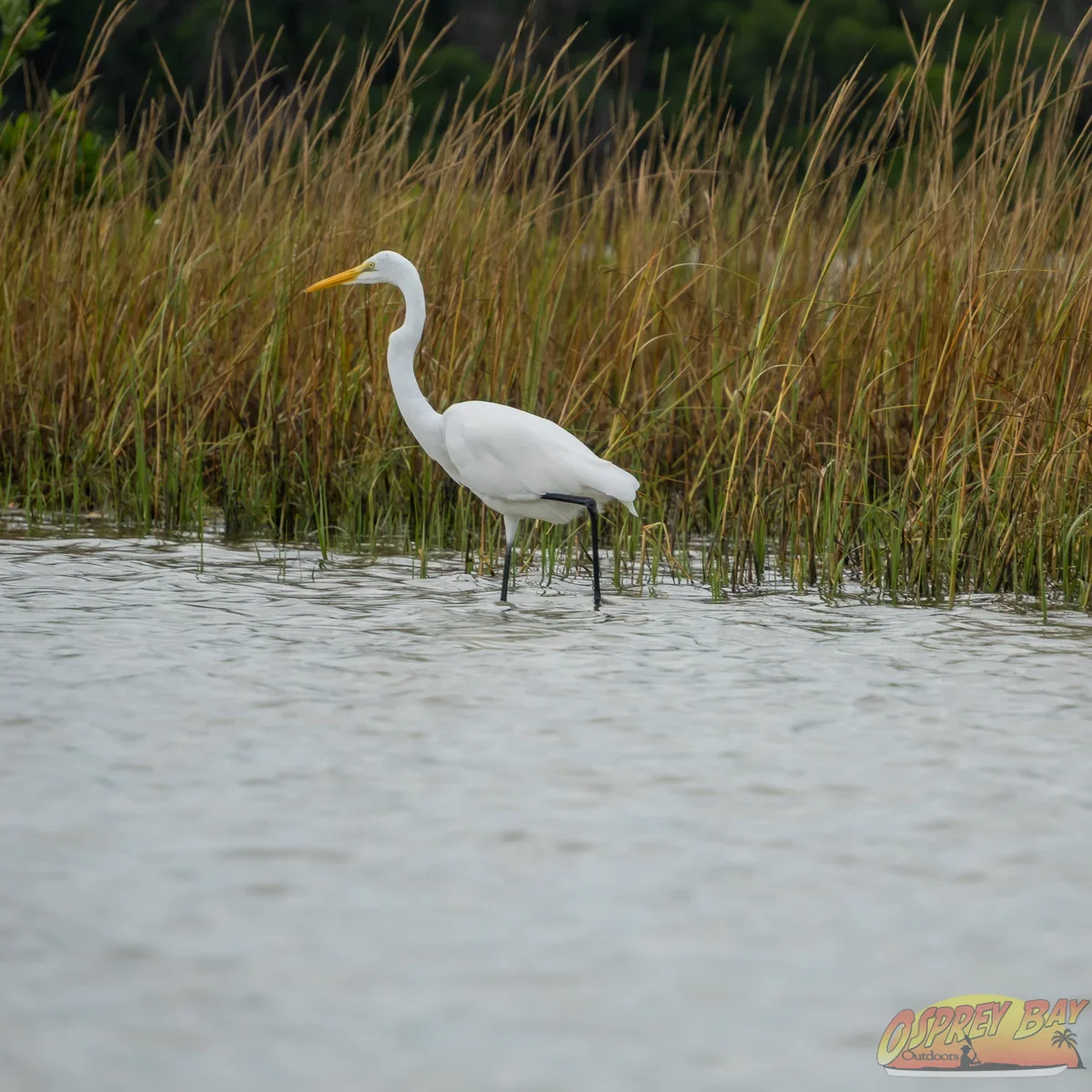 Photo from FT Desoto kayak trip, Oct 4, 2026