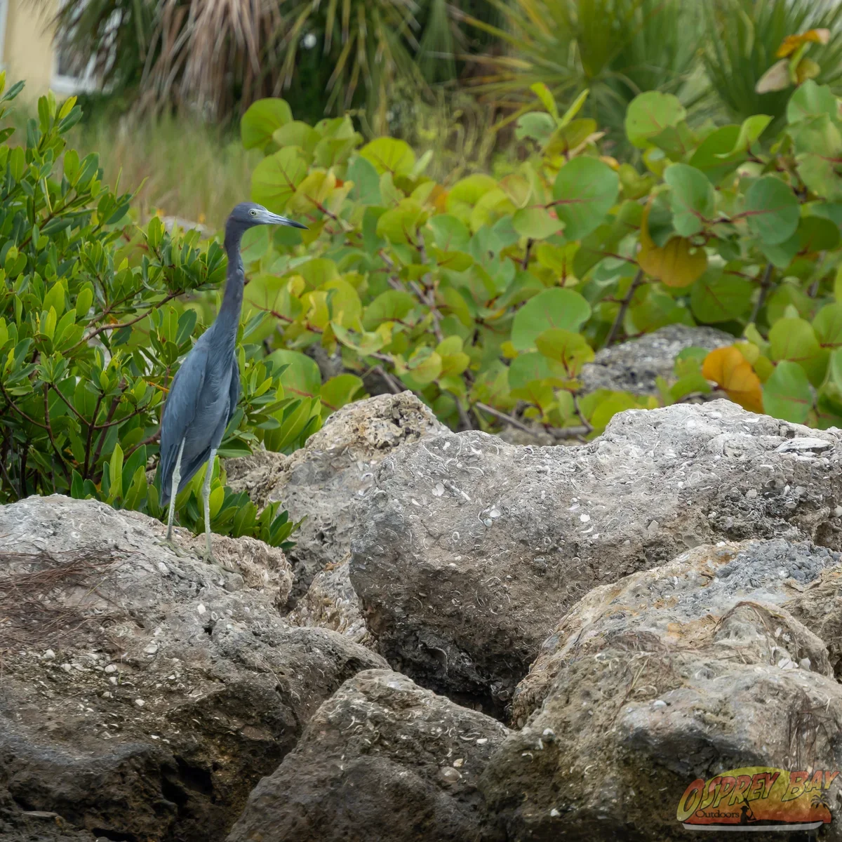 Photo from FT Desoto kayak trip, Oct 4, 2026