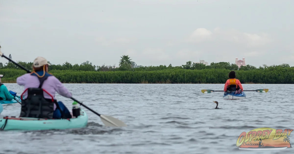 Photo from FT Desoto kayak trip, Oct 4, 2026