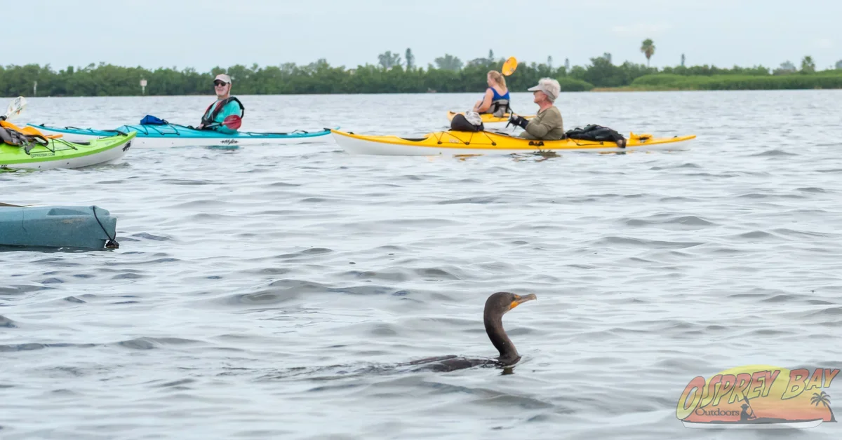 Photo from FT Desoto kayak trip, Oct 4, 2026
