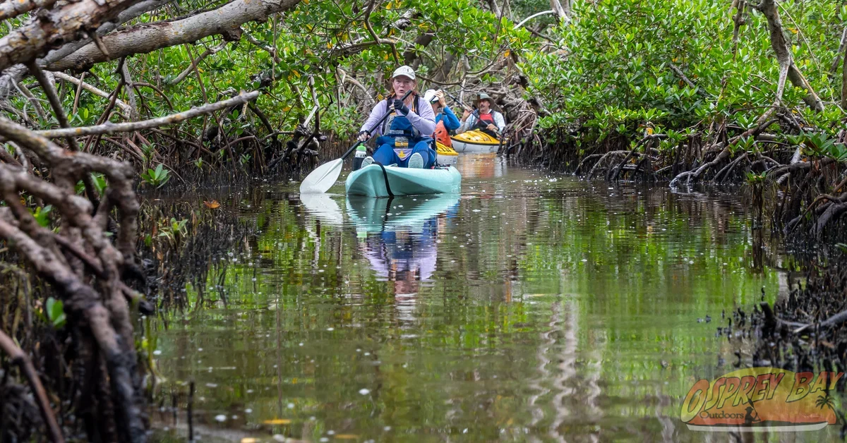Photo from FT Desoto kayak trip, Oct 4, 2026