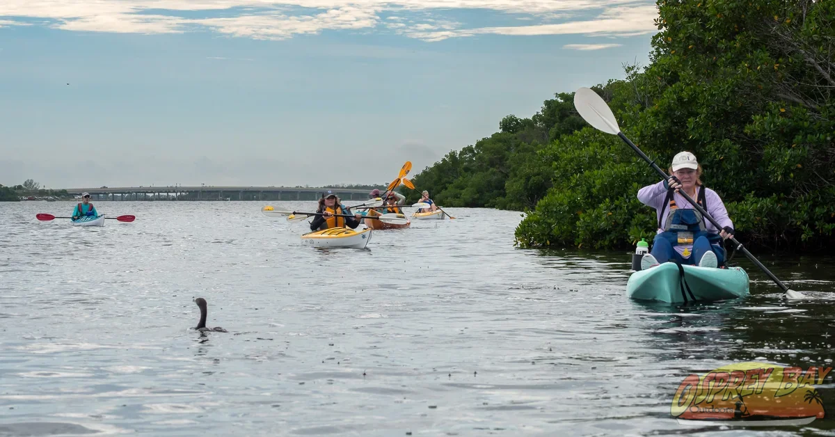 Photo from FT Desoto kayak trip, Oct 4, 2026