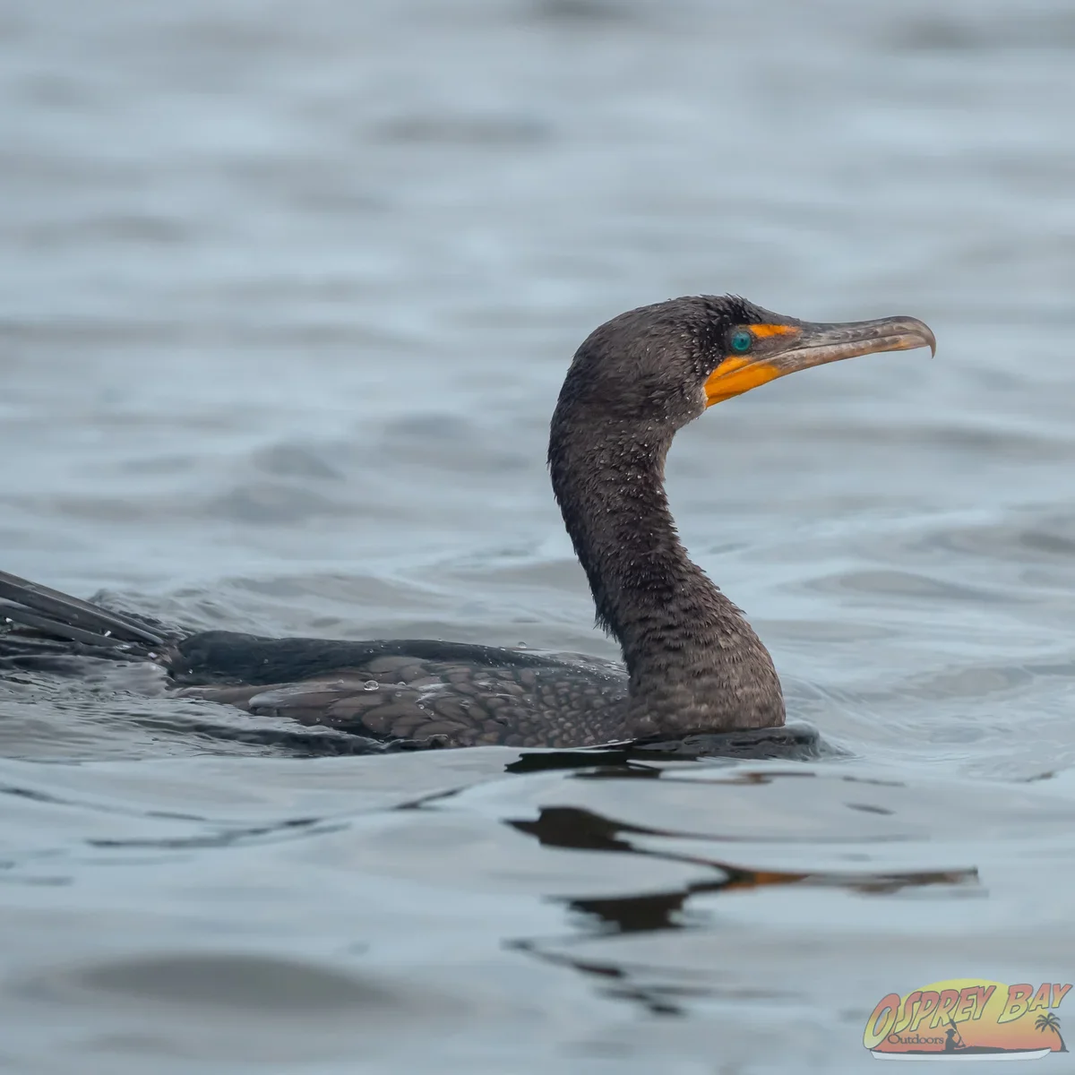 Photo from FT Desoto kayak trip, Oct 4, 2026