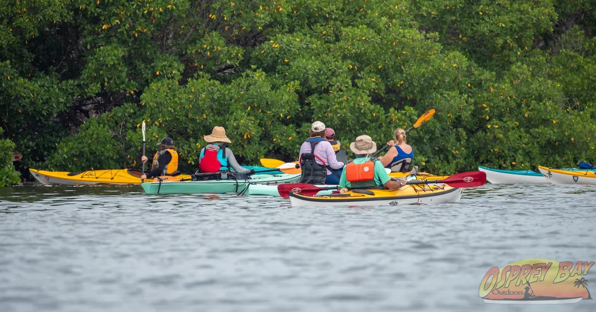 Photo from FT Desoto kayak trip, Oct 4, 2026