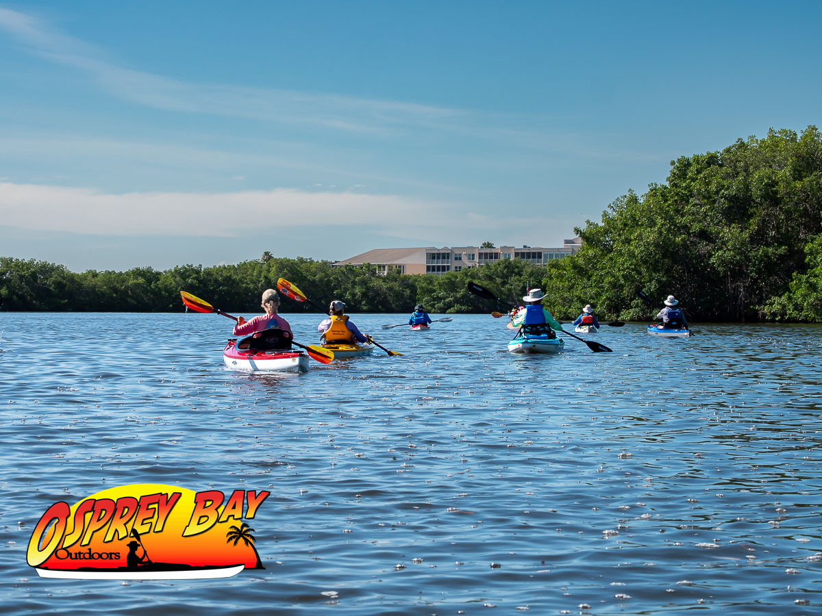 Seminole Waterfront Park paddling trip June 2026