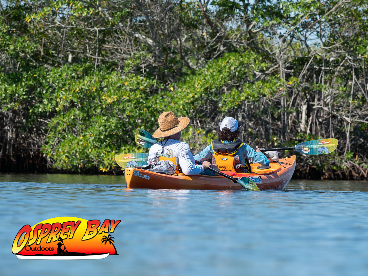 Seminole Waterfront Park paddling trip June 2026