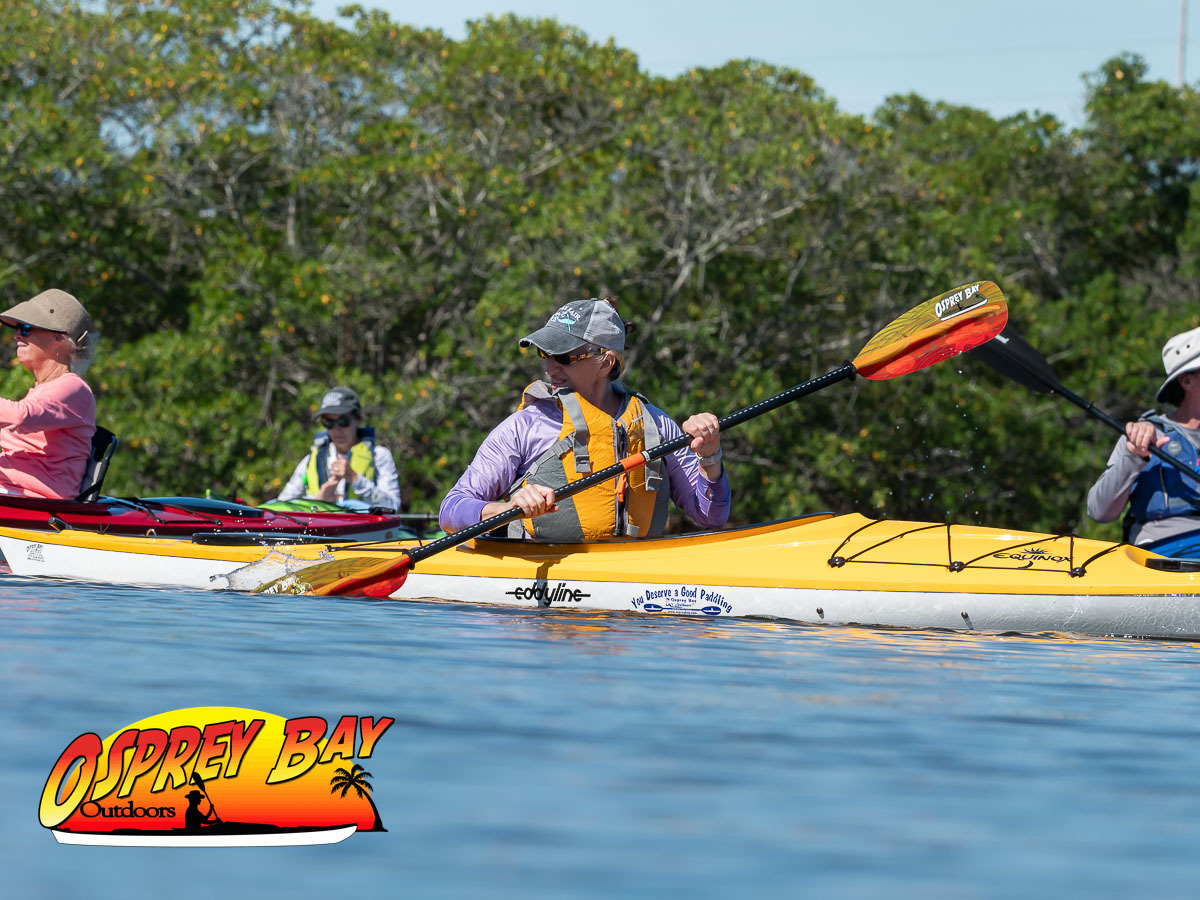 Seminole Waterfront Park paddling trip June 2026