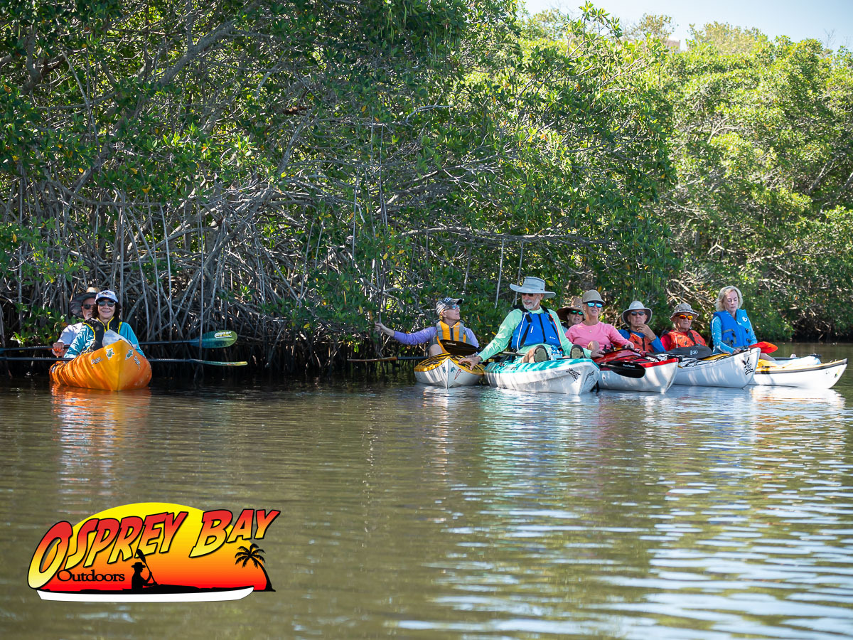 Seminole Waterfront Park paddling trip June 2026