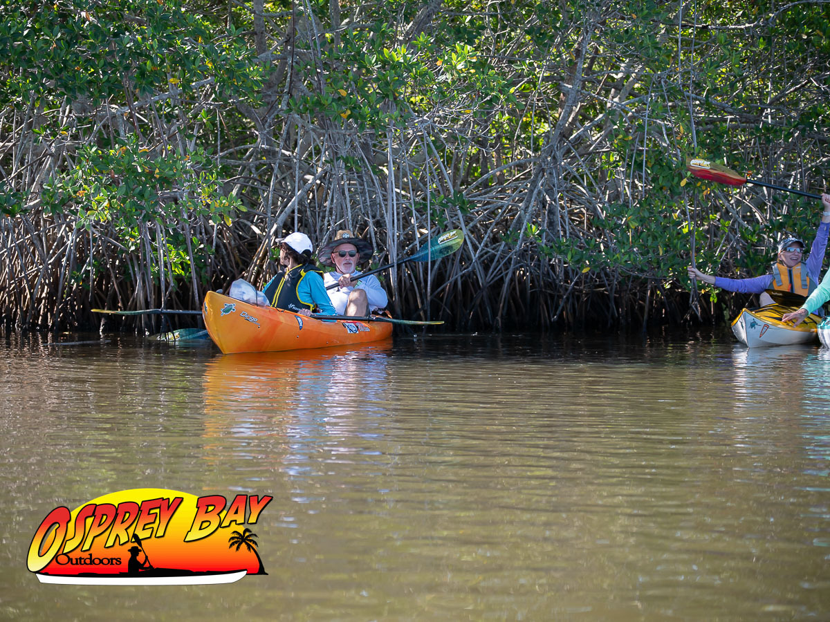 Seminole Waterfront Park paddling trip June 2026
