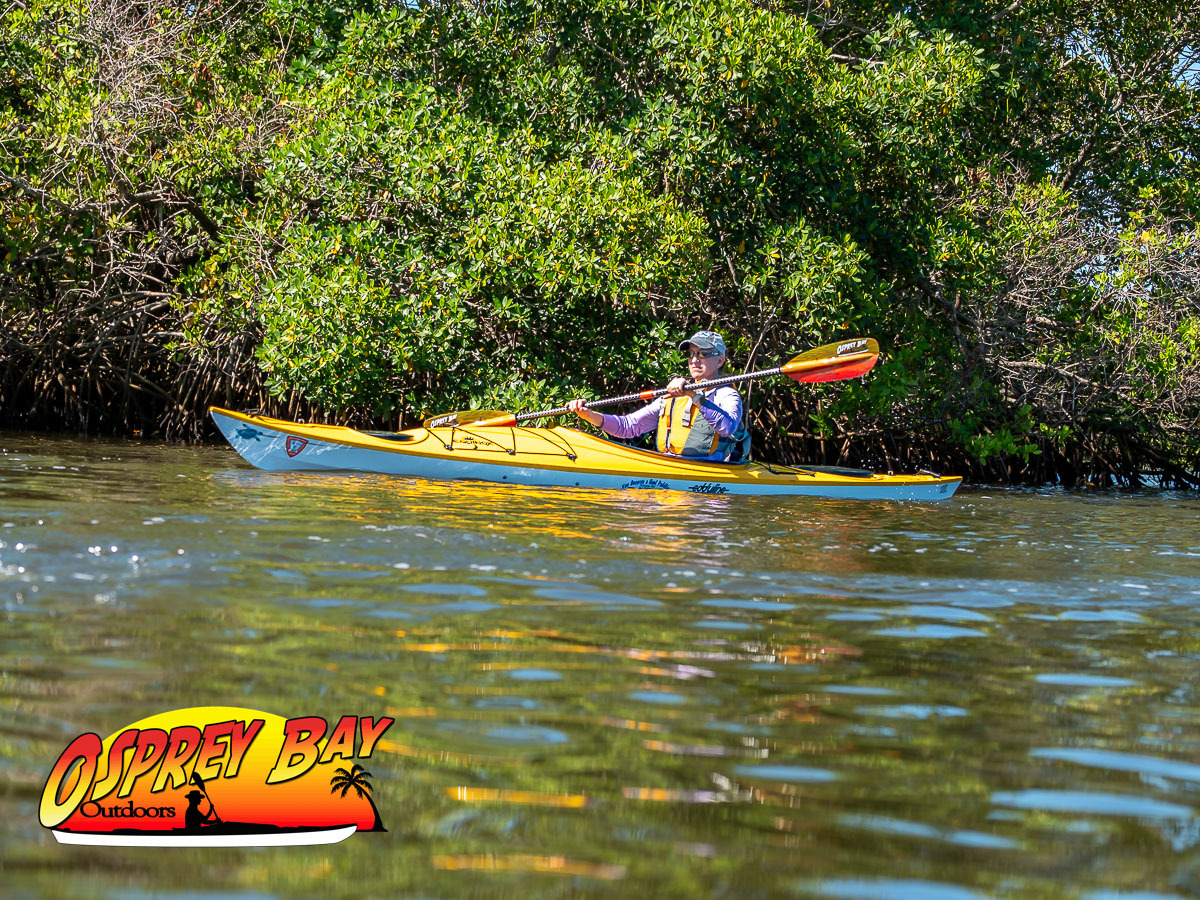 Seminole Waterfront Park paddling trip June 2026