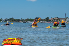 Weedon-island-May-2023-101