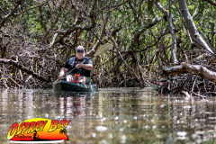 Weedon-island-May-2023-90