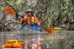 Weedon-island-May-2023-92