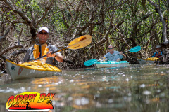 Weedon-island-May-2023-95