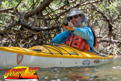 Weedon-island-May-2023-96