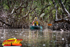 Weedon-island-May-2023-97