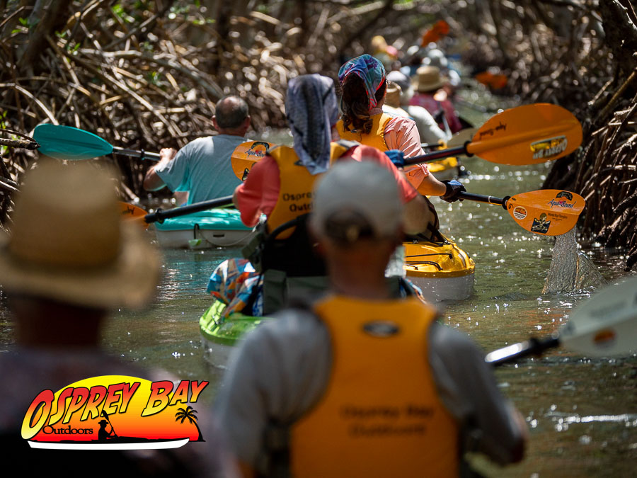 A Delightful Weedon Island Paddling Trip May 2023