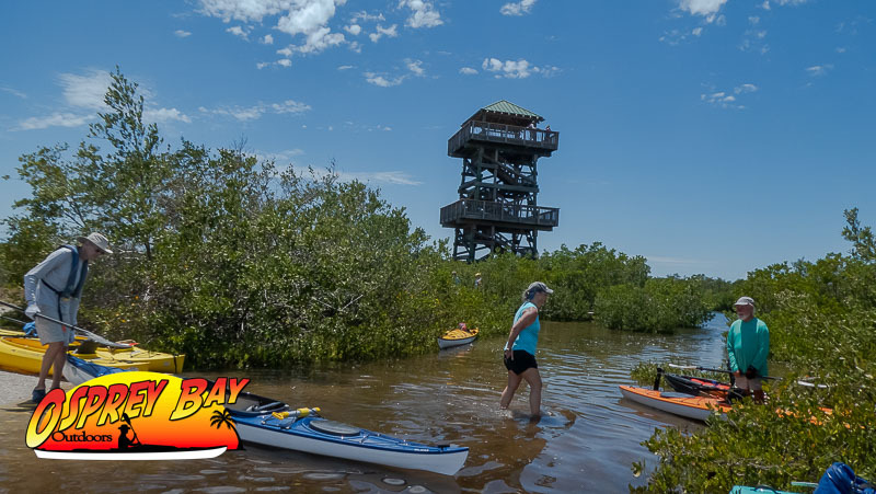 A Splendid Robinson Preserve Paddling Trip June 2023.