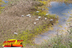 robinson-preserve-2023-154