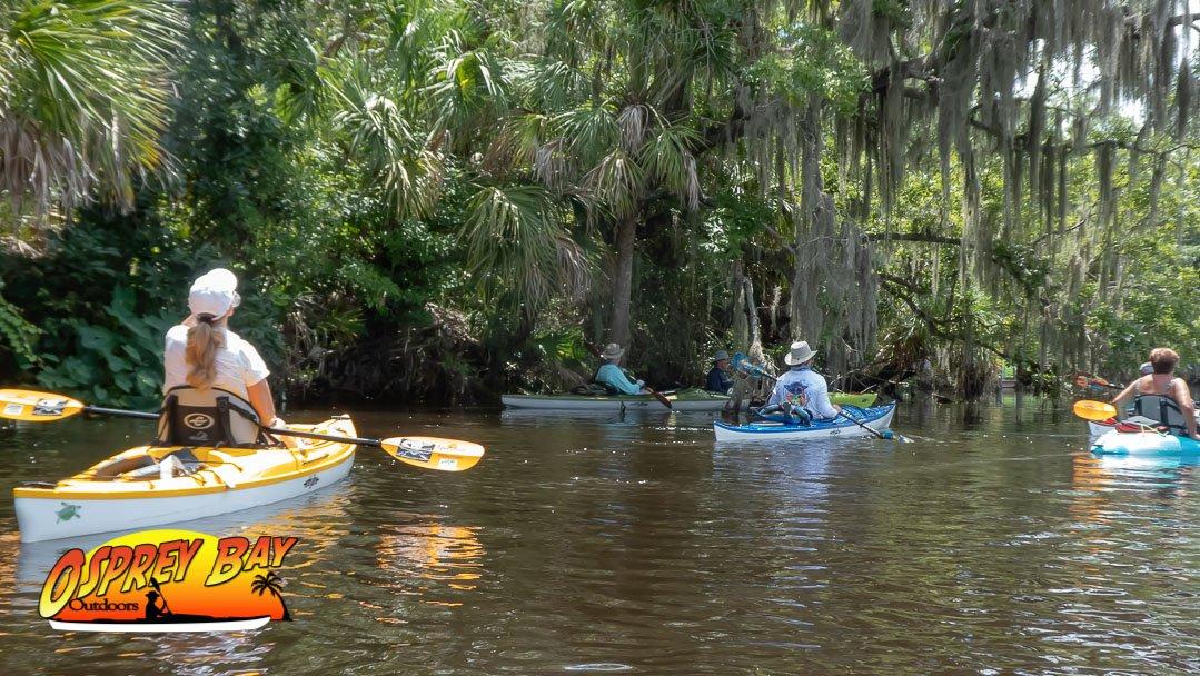 Braden River Paddle Trip June 2020