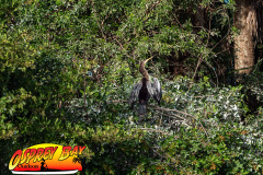 Braden-River-Nov-2023-130
