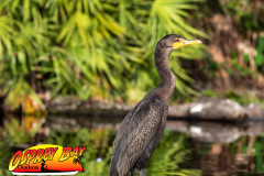 Braden-River-Nov-2023-135