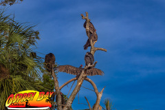 Braden-River-Nov-2023-137