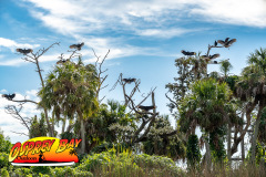 Braden-River-2025-13