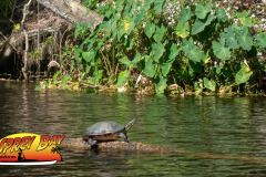 Bradon-River-2022-22