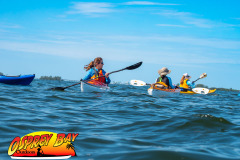 Crystal-beach-2026-23
