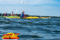 Crystal-beach-2026-24