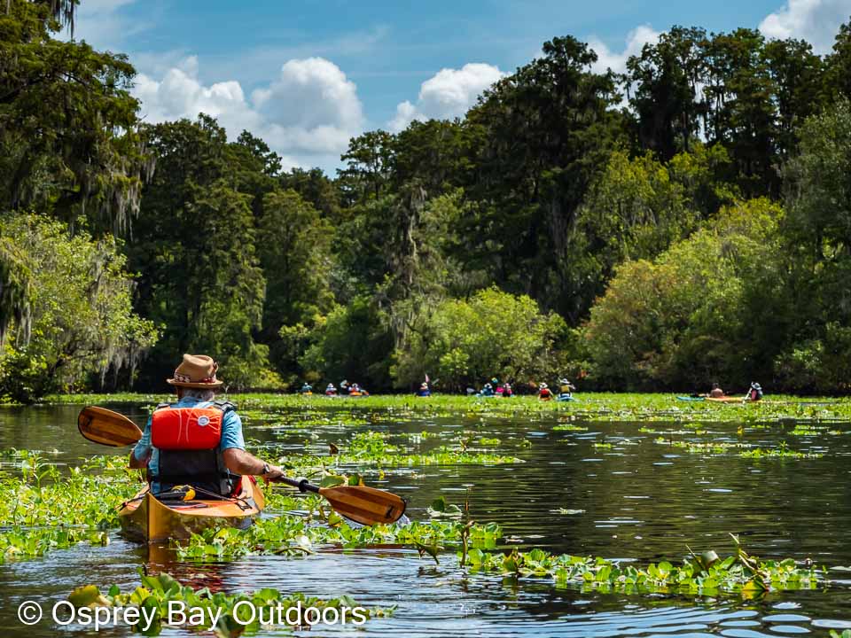 Hillsborough River Paddle Trip Aug 2021