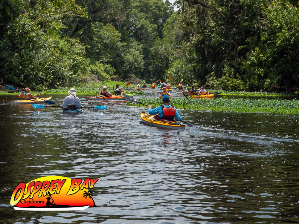 Hillsborough River Paddle Trip July 2024