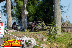 homosassa-2026-10