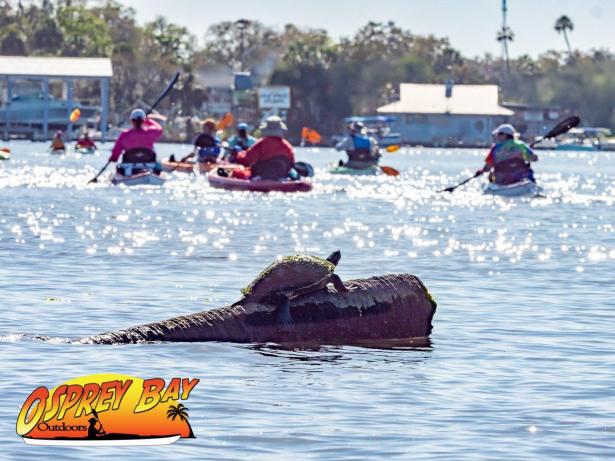 Homosassa River Paddle Trip March 2022