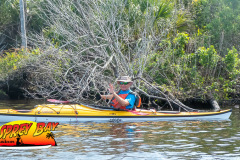 Homosassa-River-2023-19