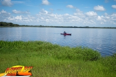 Myakka River 2020
