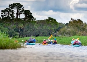 Myakka River Park